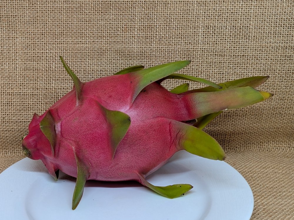 Scott's Purple dragon fruit whole